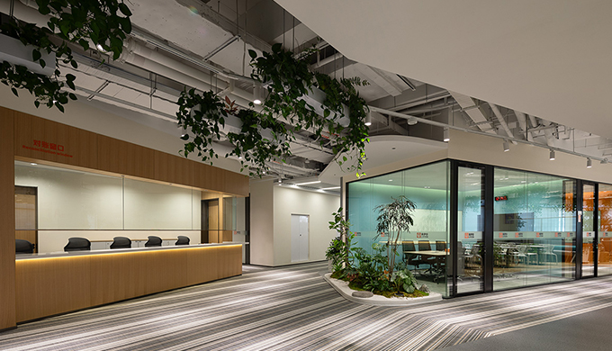 双11上海办公室装修有优惠吗？